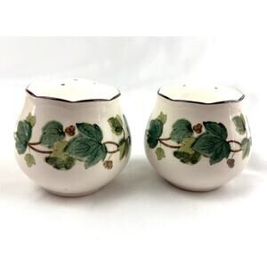 VTG Green Ivy Plant Salt and Pepper Ceramic‎ Shakers Japan Set